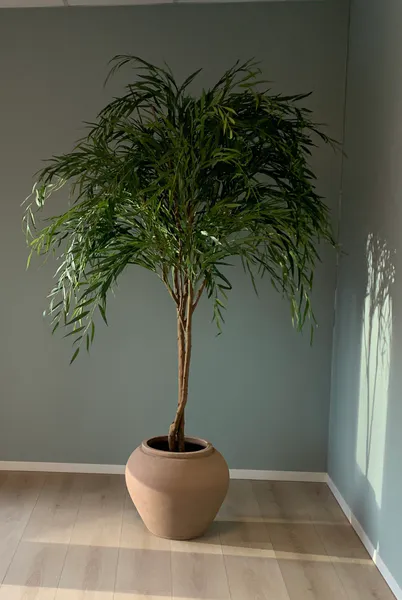 Hovedbilde Kunstig Willow - Kunstig sørgepil 200 cm