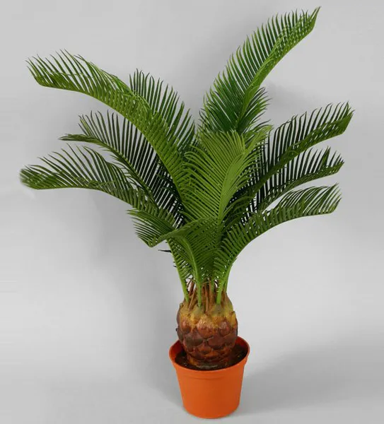 Hovedbilde Kunstig Baby Cycus 65 cm