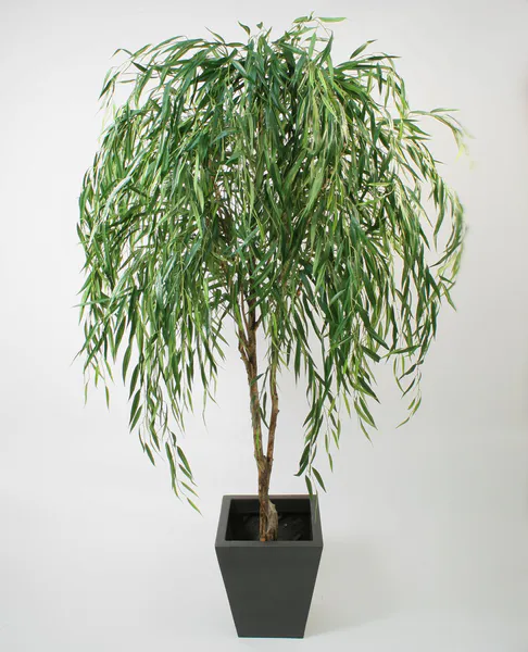 Hovedbilde Kunstig Willow - Kunstig sørgepil 200 cm